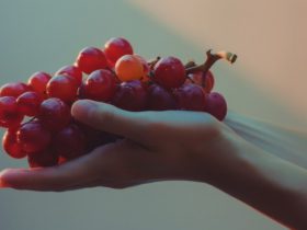 تعبیر خواب انگور: نماد خوشبختی، موفقیت و رسیدن به آرزوها با توجه به وضعیت خواب