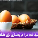 نحوه مصرف تخم مرغ در بدنسازی برای عضله سازی