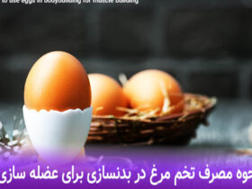 نحوه مصرف تخم مرغ در بدنسازی برای عضله سازی