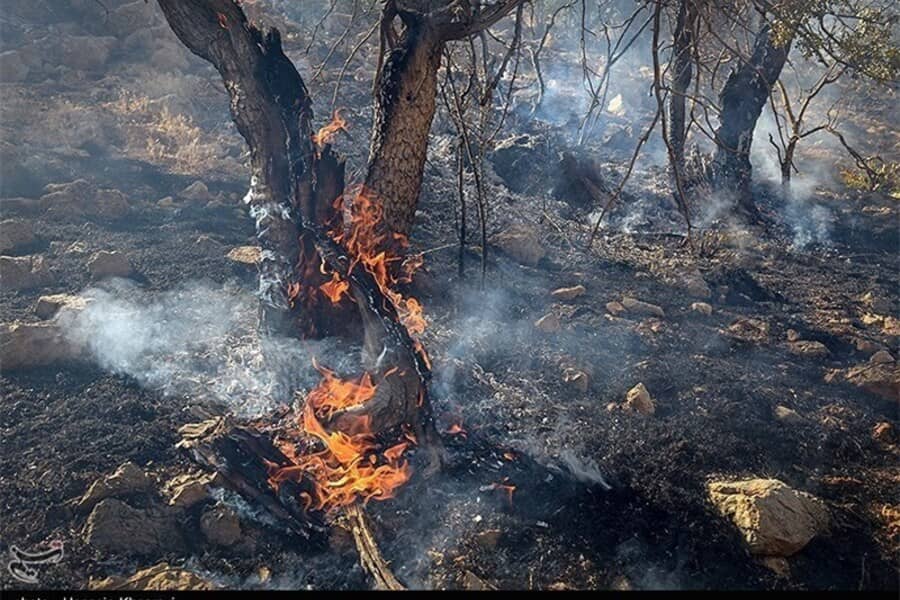 مهار آتش سوزی جنگل ابر شاهرود ادامه دارد!